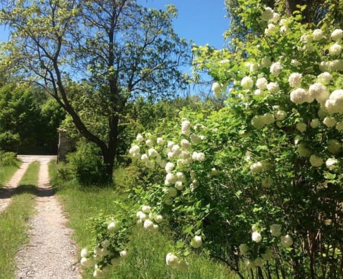 Photo 4/6 — Gîte insolite « Les Cabanes Camille and Manon · Beynes, Île-de-France » à Beynes Alpes-de-Haute-Provence