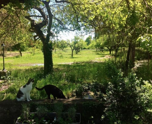 Photo 2/6 — Gîte insolite « Les Cabanes Camille and Manon · Beynes, Île-de-France » à Beynes Alpes-de-Haute-Provence